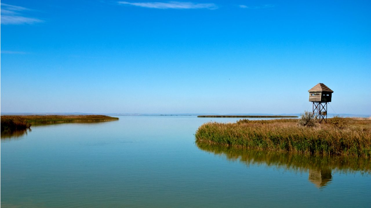 Ce se poate vedea in Delta Dunarii?