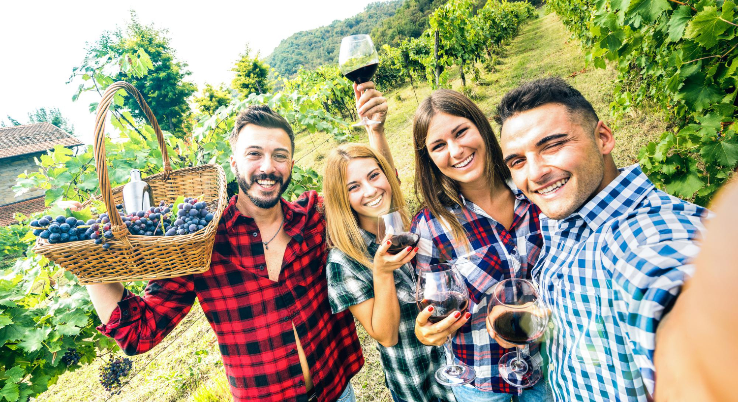 Ce urmeaza dupa etapa de fermentare pentru obtinerea vinului